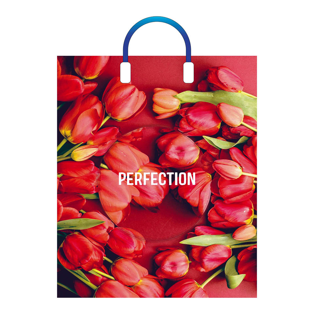 Пакет "Совершенство" ПЭ с пластмассовыми ручками 38х45см, арт.№ 568-287