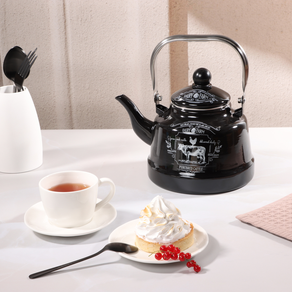 VETTA Ранчо Чайник эмалированный 2,5 л, 3 дизайна, индукция, арт.№ 894-485