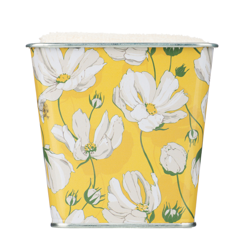 PROVANCE Дейзи Салфетки для уборки в наборе 3шт., 100% хлопок, 30х30см, подарочная упаковка, 2 цвета, арт.№ 488-155