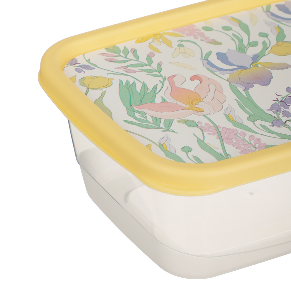 Ботаника Контейнер для продуктов прямоугольный 0,85л, пластик, 3 цвета, арт.№ 861-568