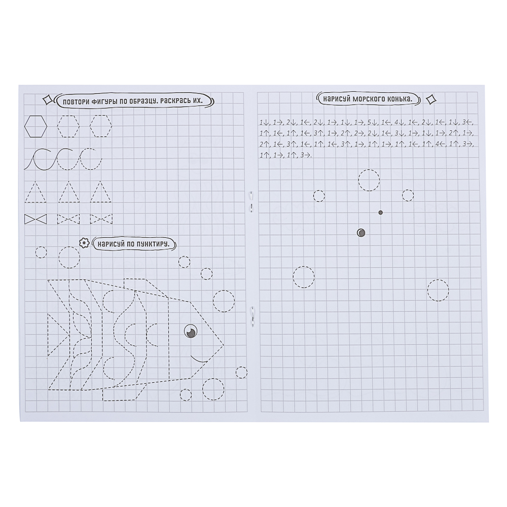 ПРОФ-ПРЕСС Книжка "Графические диктанты", 16,5x23,5см, 12 стр., 4 дизайна, арт.№ 876-094