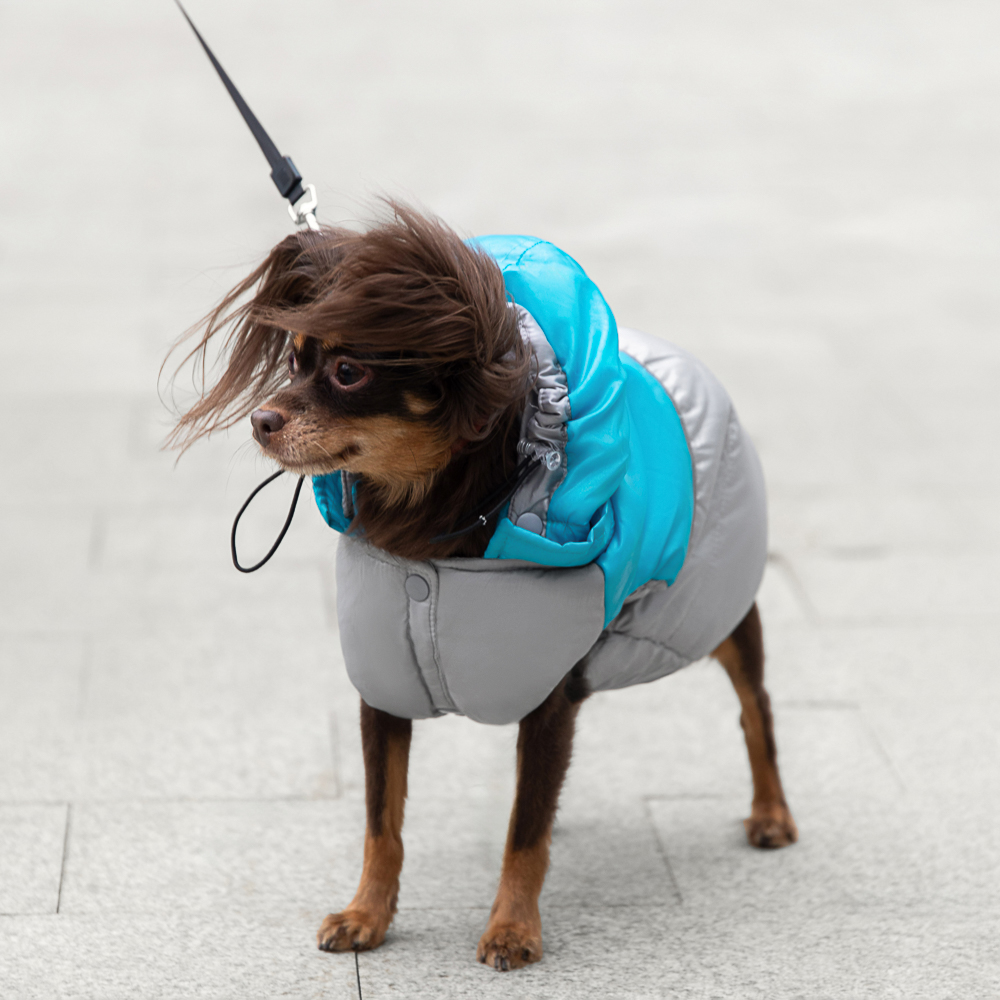 VETTA Жилет для домашних животных, ПЭ,  р. M, арт.№ 273-235