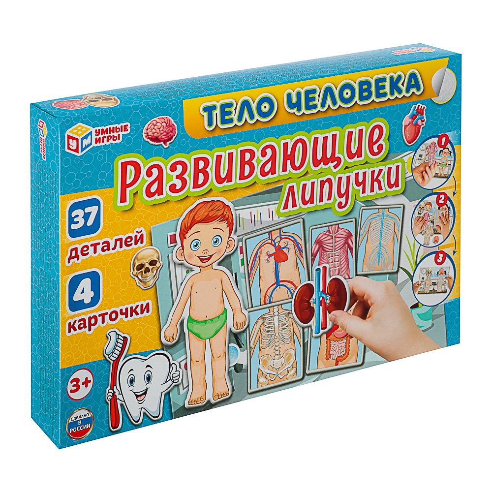 УМКА Развивающая игра "Липучки. Тело человека", в коробке, 28,5x19х3,5см, арт.№ 874-129