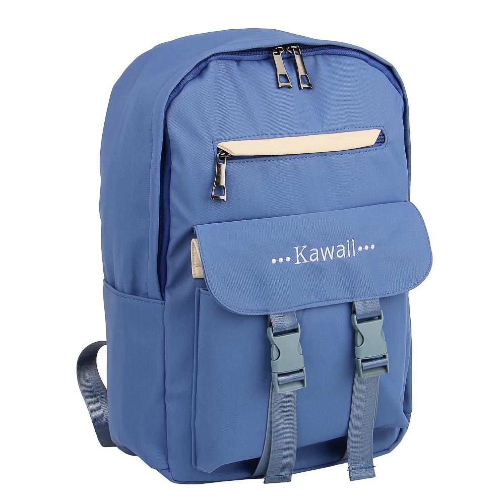 Рюкзак подростковый 39,5x27,5x11,5см, 1 отд., 5 карм., клапан на 2х застежках, синий, ПЭ, арт.№ 254-579