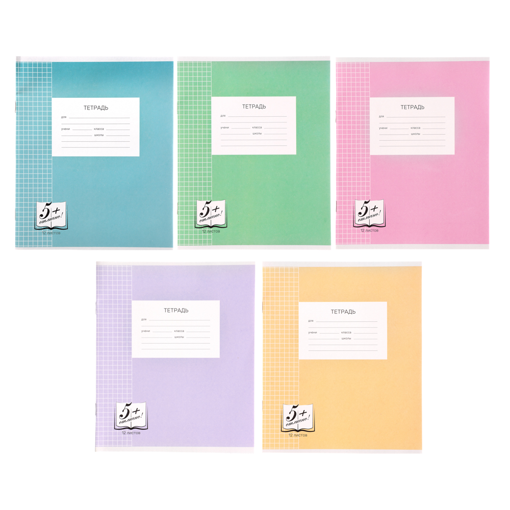 Тетрадь школьная 12л. в клетку, БЕЛЫЕ ЛИСТЫ обложка плотный офсет 115 гр "Пятерка", арт.№ 579-031