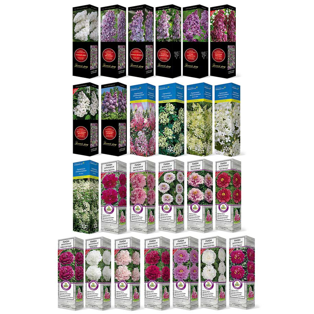 Саженцы микс пион/сирень/гортензия, коробка, арт.№ 115-025