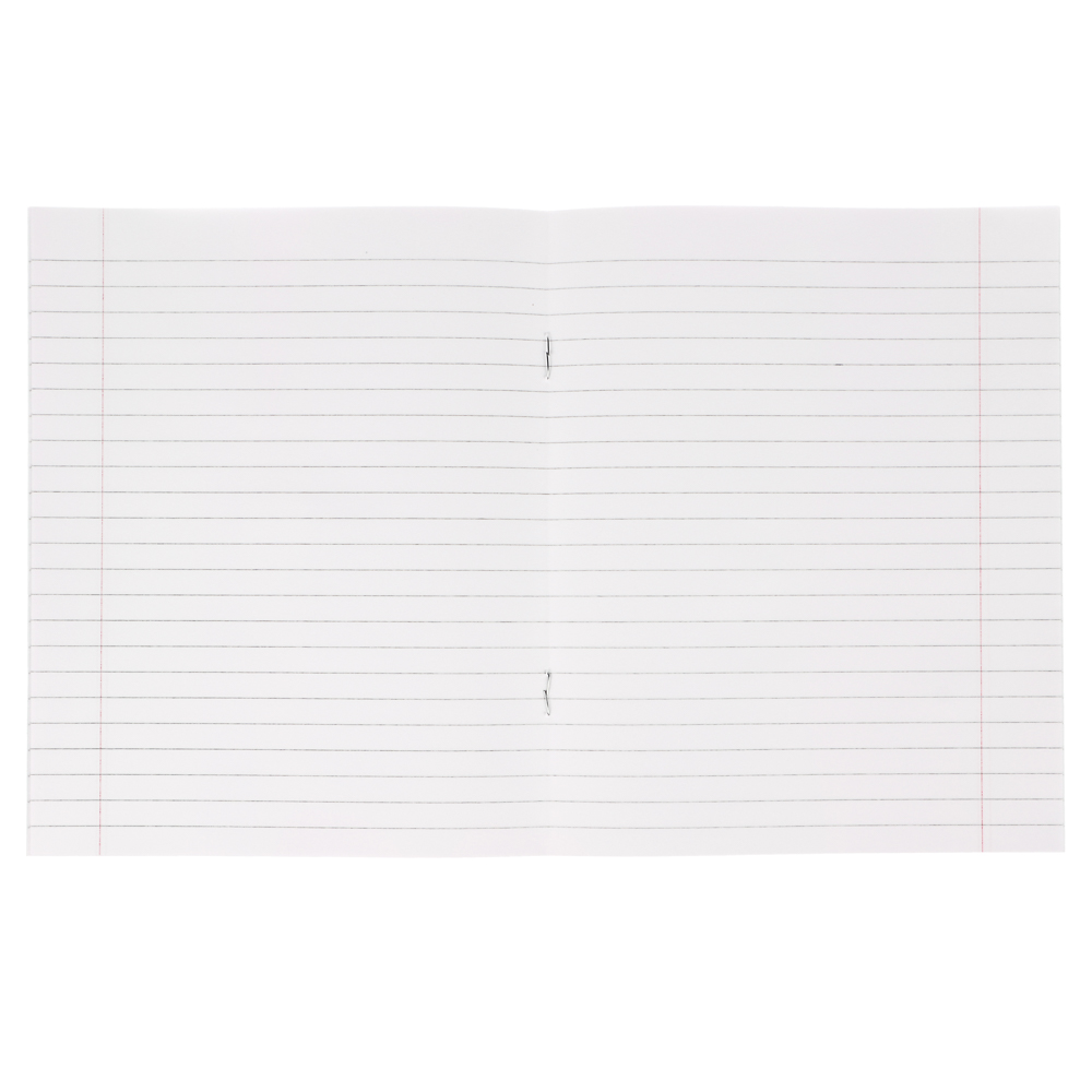 Тетрадь школьная 12л. в линейку, БЕЛЫЕ ЛИСТЫ обложка плотный офсет 115 гр "Пятерка", арт.№ 579-032