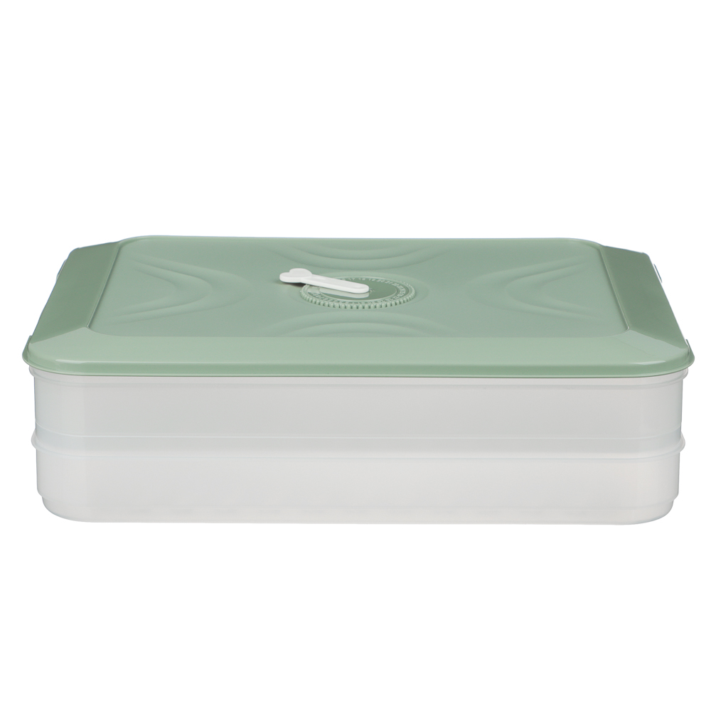 Контейнер для хранения и заморозки, 2 яруса, 30x20,5x8см, пластик, 2 цвета, арт.№ 861-534