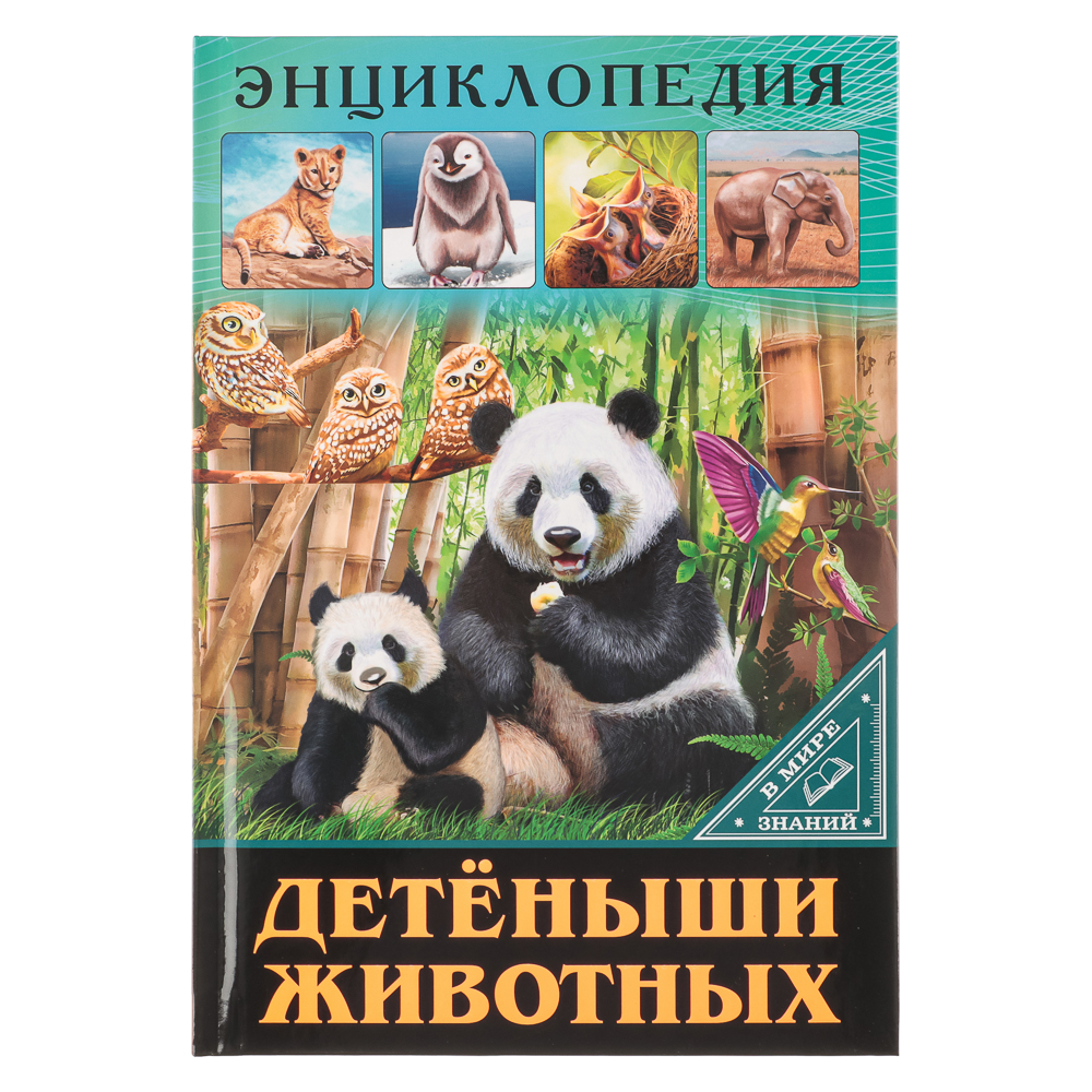 ПРОФ-ПРЕСС Энциклопедия "В мире знаний", бумага, картон, 17х24,5см, 32 стр., 3 дизайна, арт.№ 857-162