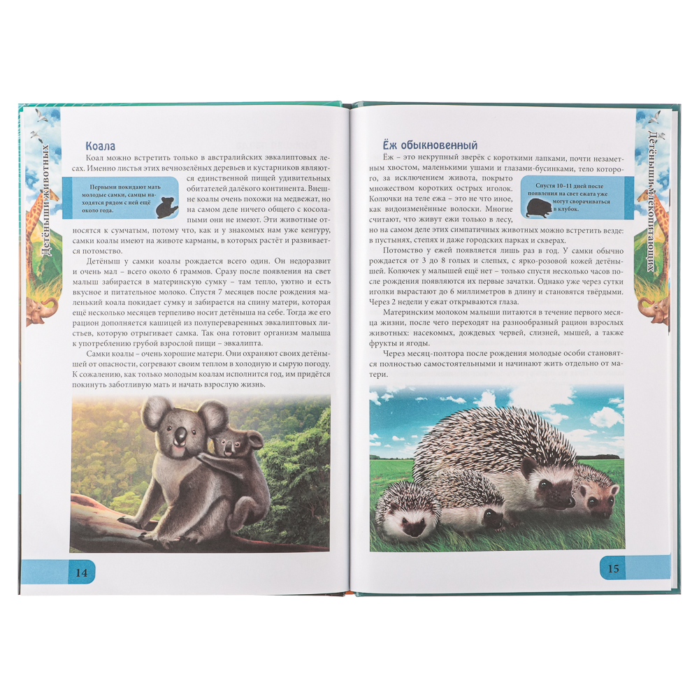 ПРОФ-ПРЕСС Энциклопедия "В мире знаний", бумага, картон, 17х24,5см, 32 стр., 3 дизайна, арт.№ 857-162