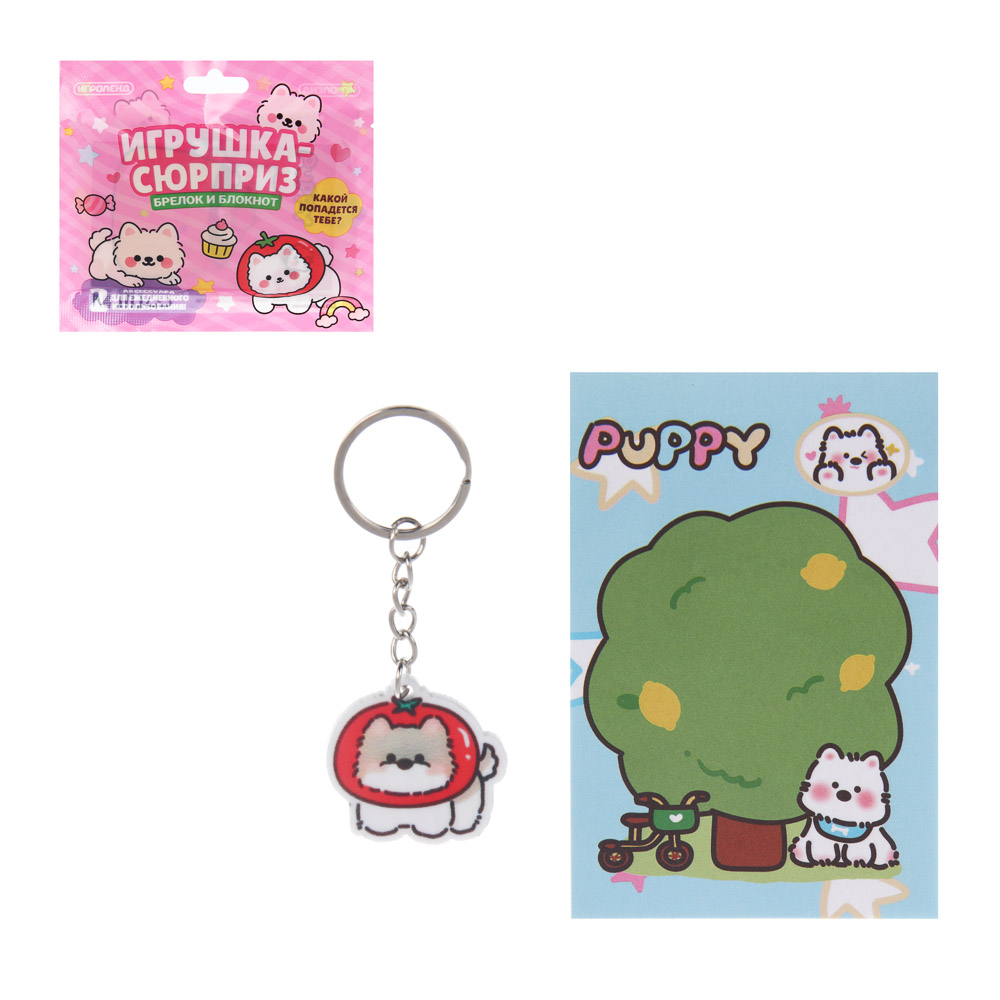 Игрушка сюрприз "Брелок и блокнот", ИГРОЛЕНД, акрил, бумага, металл, 11х12см, 6-12 дизайнов, арт.№ 295-311