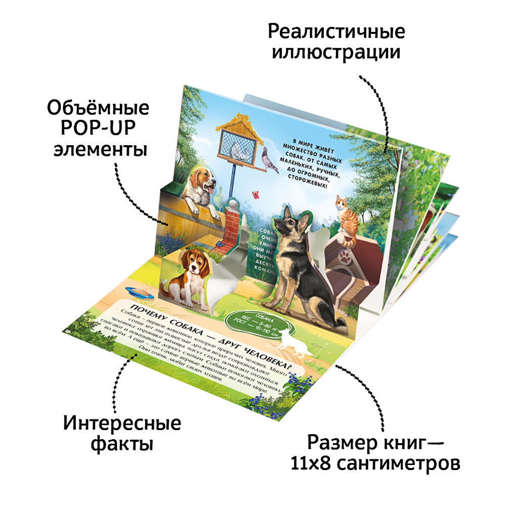 Набор 6 книг "Карманная POP-UP энциклопедия, 12х8,5х8,5 см, картон, 10 стр., 2 дизайна, арт.№ 857-171