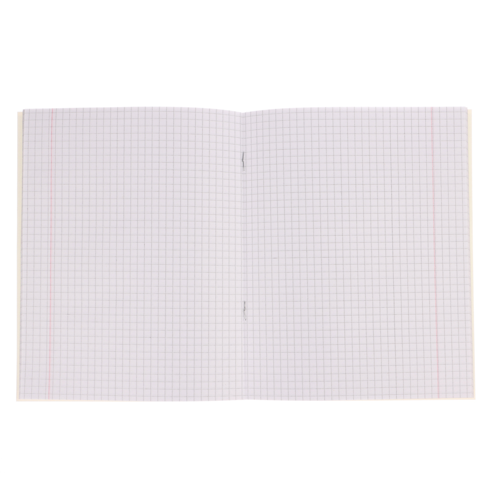 Тетрадь школьная 24л. в клетку, БЕЛЫЕ ЛИСТЫ, обл. плотный картон 190 гр ,скрепка, арт.№ 579-040