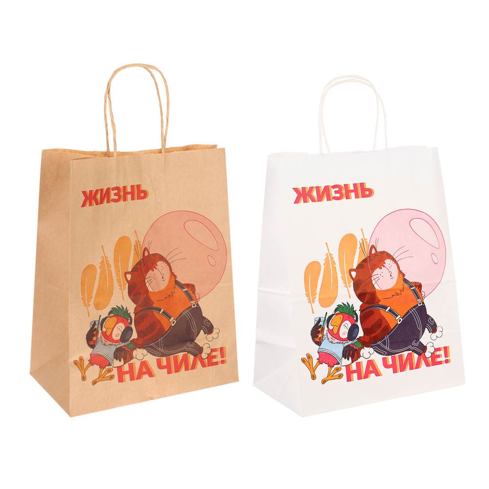 Пакет подарочный с кручеными ручками 24х14х30см, "Попугай Кеша. На чиле", в ассортименте, арт.№ 507-497