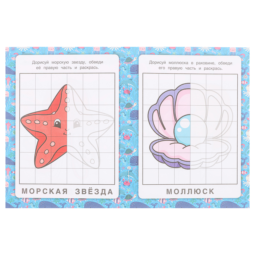 Раскраска "Зеркальная", 14,5х19 см, 8 стр., в ассортименте, арт.№ 290-404