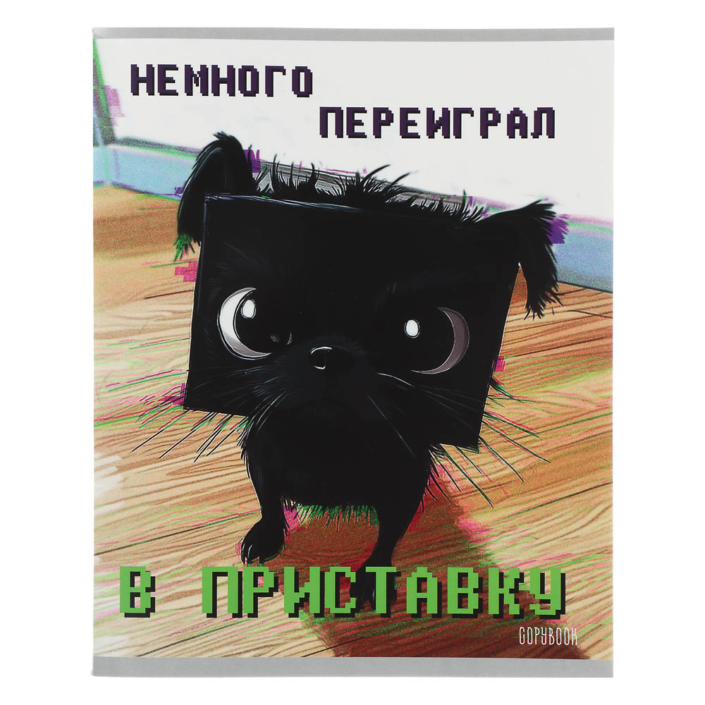 Тетрадь 48 л., А5, в клетку, БЕЛЫЕ ЛИСТЫ, обложка картон, скрепка, ВД-лак, арт.№ 578-190
