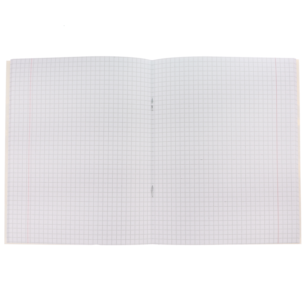 Тетрадь общая 48л. в клетку, БЕЛЫЕ ЛИСТЫ, обложка картон, скрепка, УФ лак, "Микс коллекций" 4 диз, арт.№ 578-160