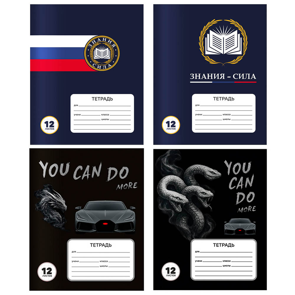 Тетрадь школьная 12л. в клетку, обл.офсет 115 г/м2, "Карбон/Базис", скрепка, арт.№ 524-324