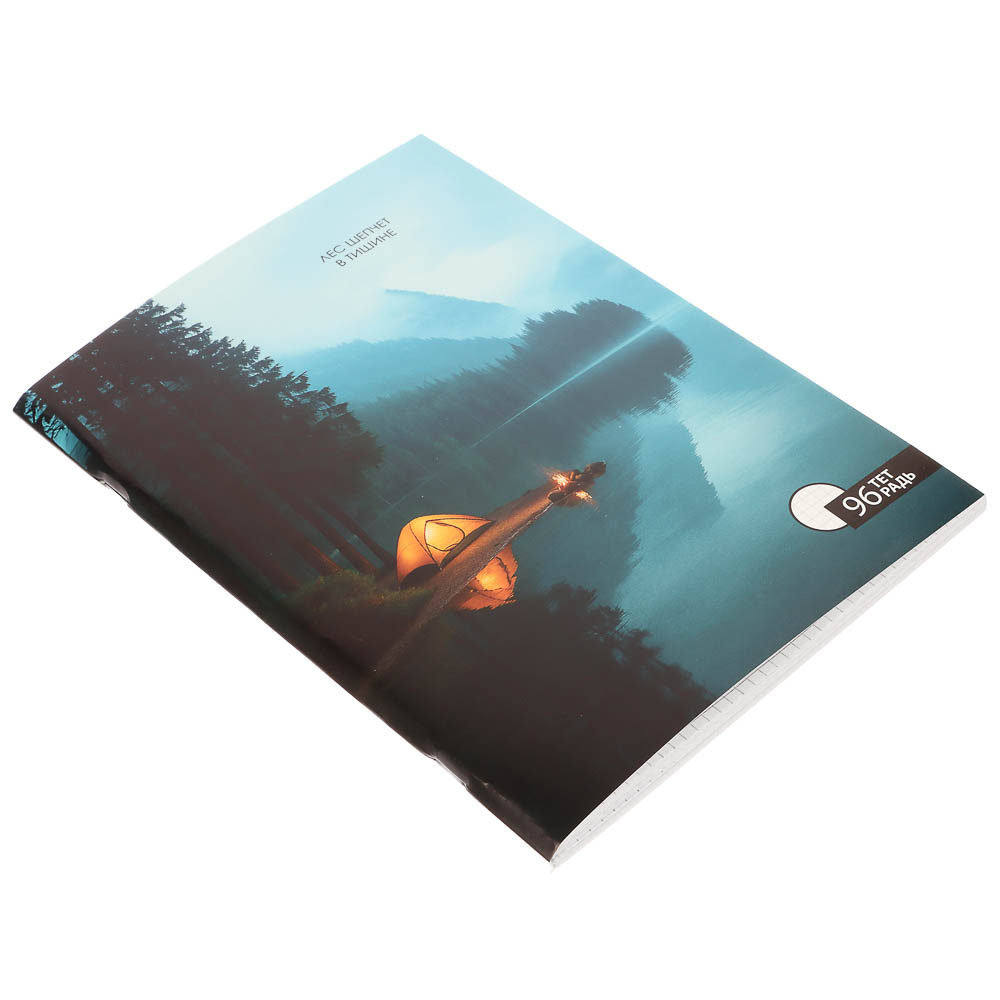 Тетрадь общая А4, 96 листов, в клетку, ClipStudio БЕЛЫЕ ЛИСТЫ, обложка картон, скрепка, 4 дизайна, арт.№ 578-163