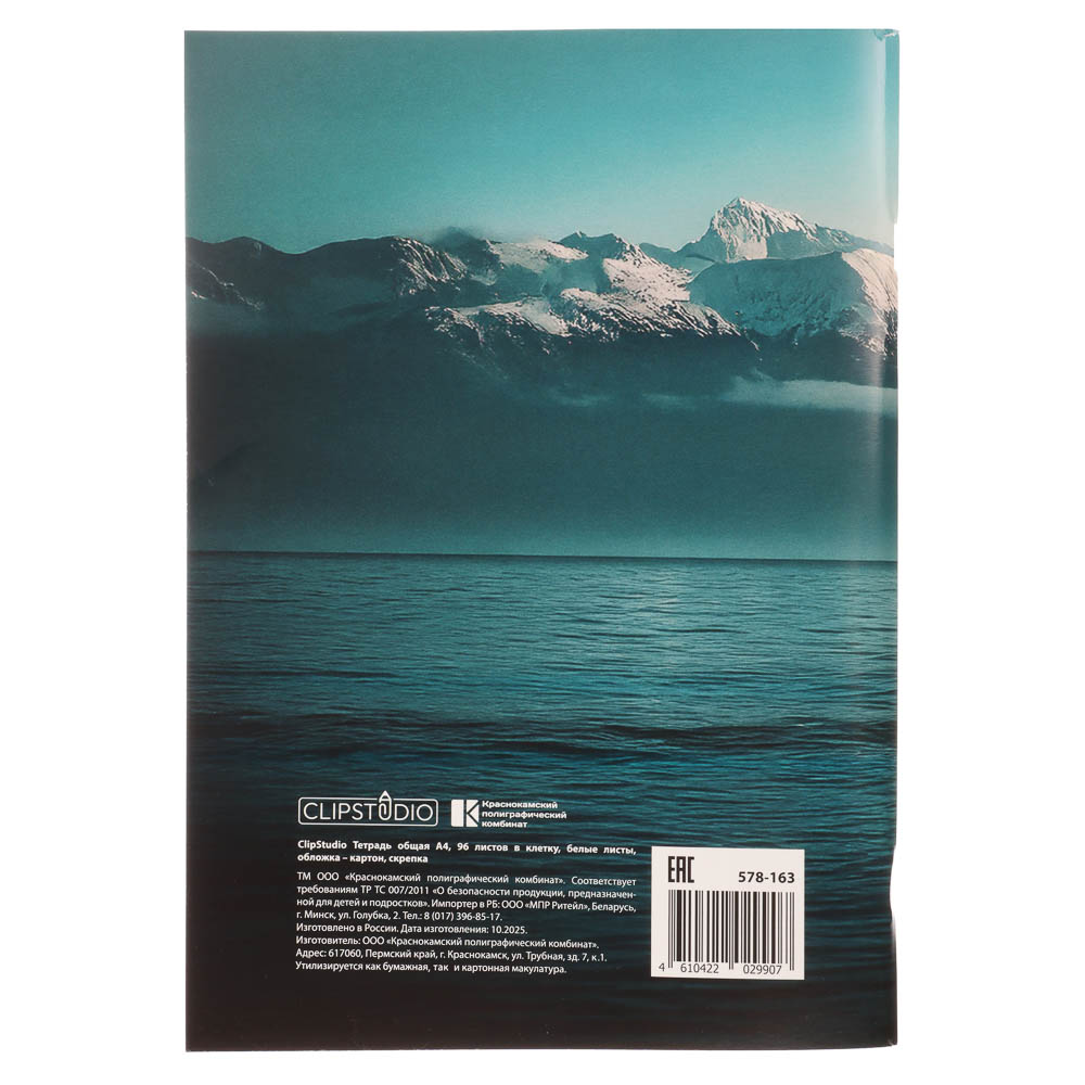 Тетрадь общая А4, 96 листов, в клетку, ClipStudio БЕЛЫЕ ЛИСТЫ, обложка картон, скрепка, 4 дизайна, арт.№ 578-163