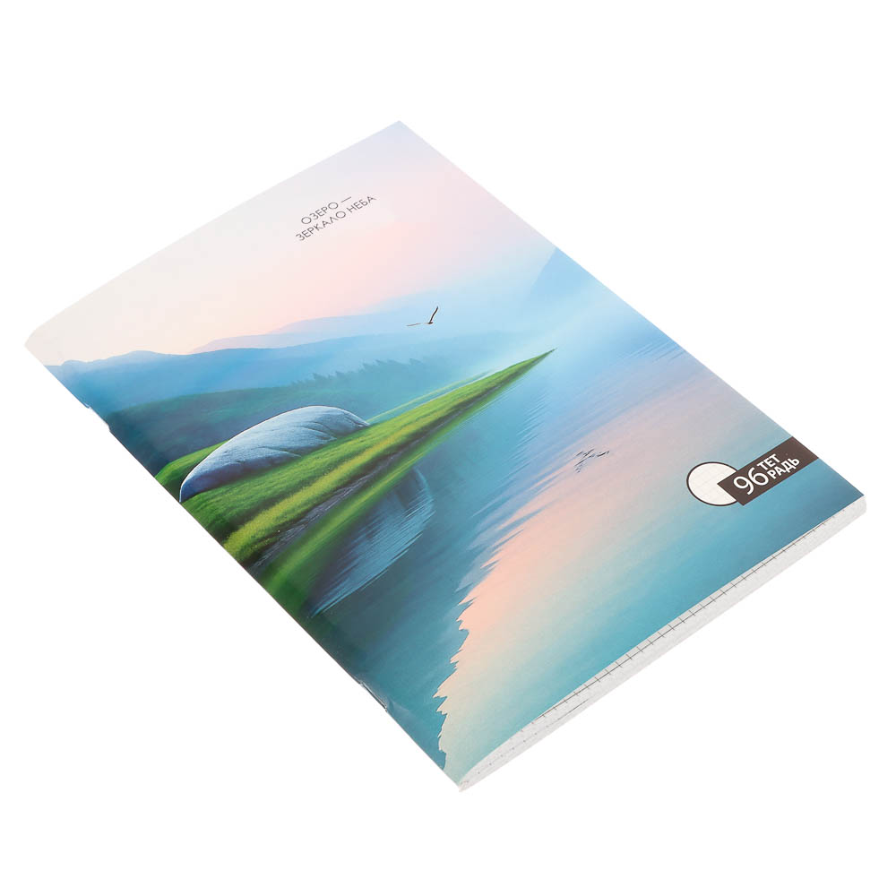 Тетрадь общая А4, 96 листов, в клетку, ClipStudio БЕЛЫЕ ЛИСТЫ, обложка картон, скрепка, 4 дизайна, арт.№ 578-163