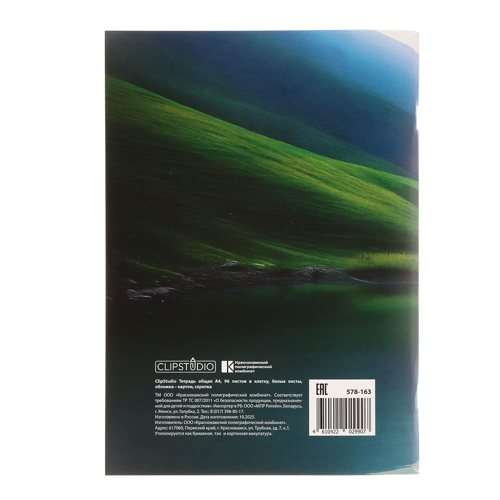 Тетрадь общая А4, 96 листов, в клетку, ClipStudio БЕЛЫЕ ЛИСТЫ, обложка картон, скрепка, 4 дизайна, арт.№ 578-163