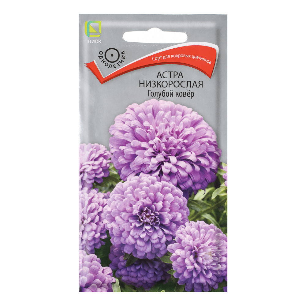Астра низкорослая Голубой ковер 0,2гр, арт.№ 179-739