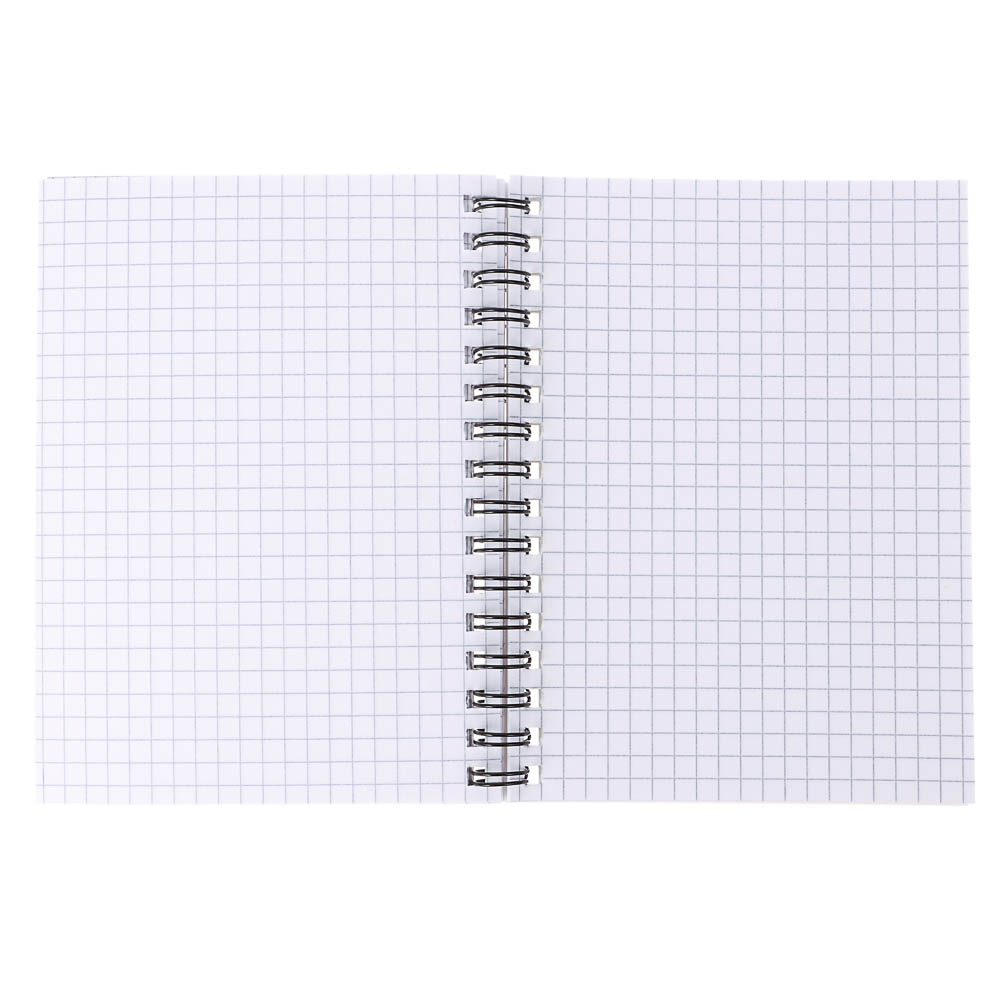 Блокнот BY Русские Супергерои, 105х140 мм, 80л, клетка, мягкий переплет, спираль, в ассортим., арт.№ 801-089