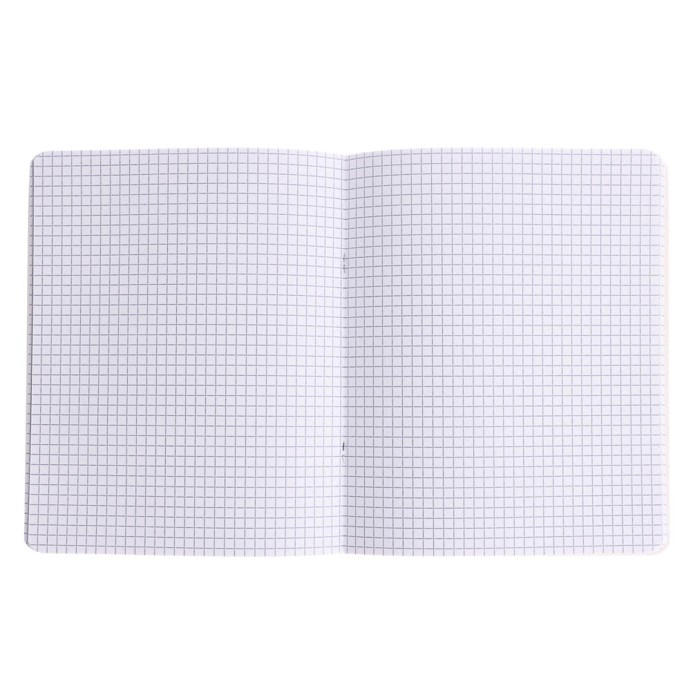 Тетрадь общая BY Русские Супергерои, формат А5, 48л. в клетку, на скобе, скруглен. углы, в ассортим., арт.№ 801-090