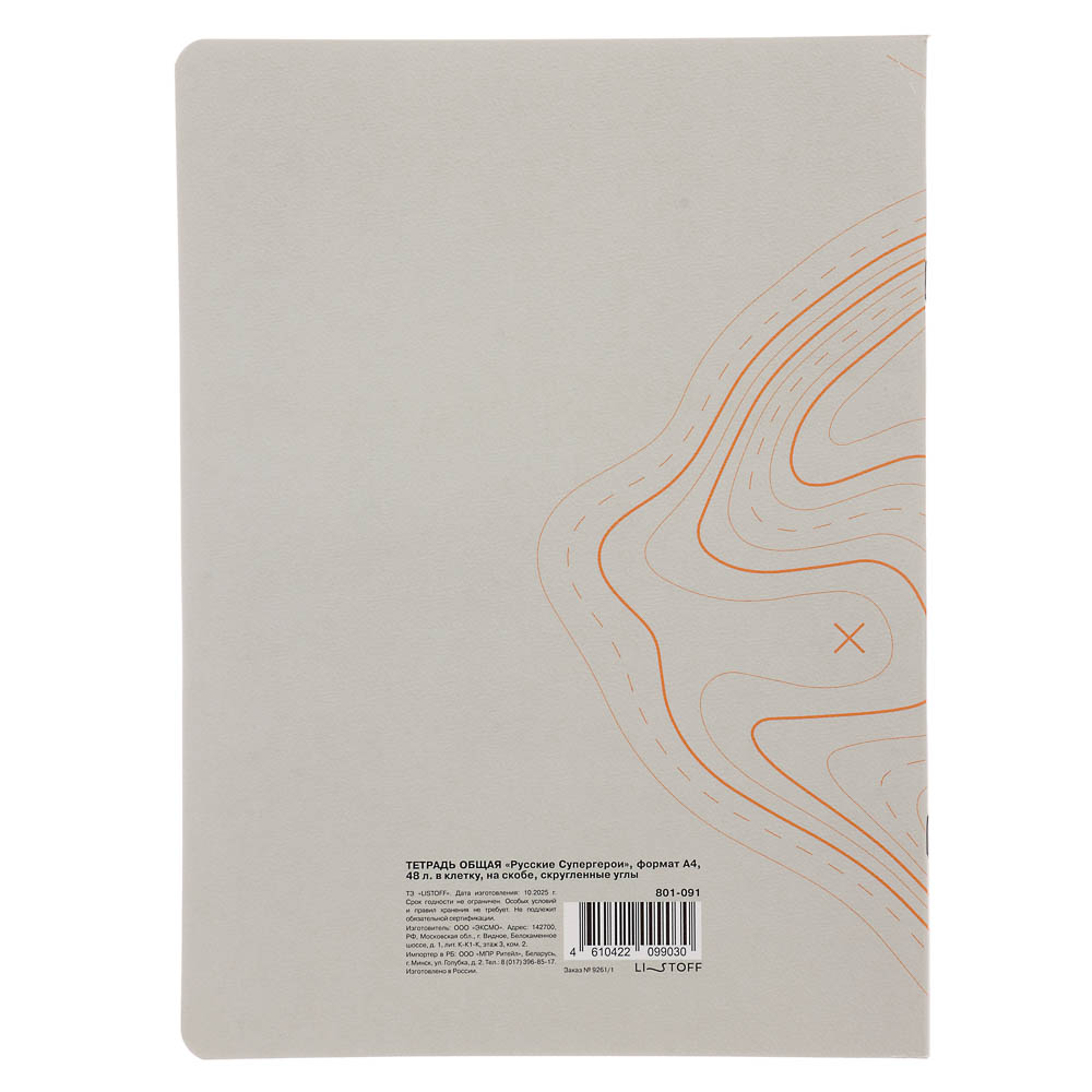 Тетрадь общая BY Русские Супергерои, формат А4, 48л. в клетку, на скобе, скруглен. углы, в ассортим., арт.№ 801-091