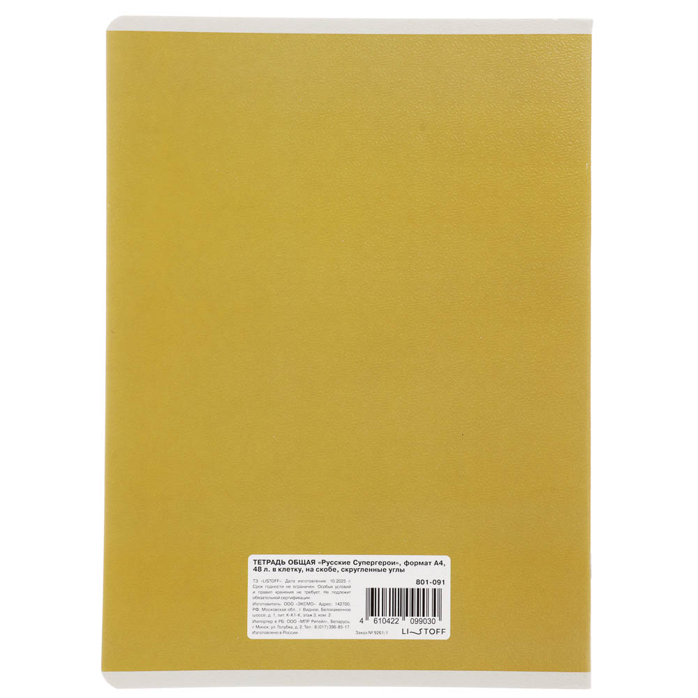 Тетрадь общая BY Русские Супергерои, формат А4, 48л. в клетку, на скобе, скруглен. углы, в ассортим., арт.№ 801-091