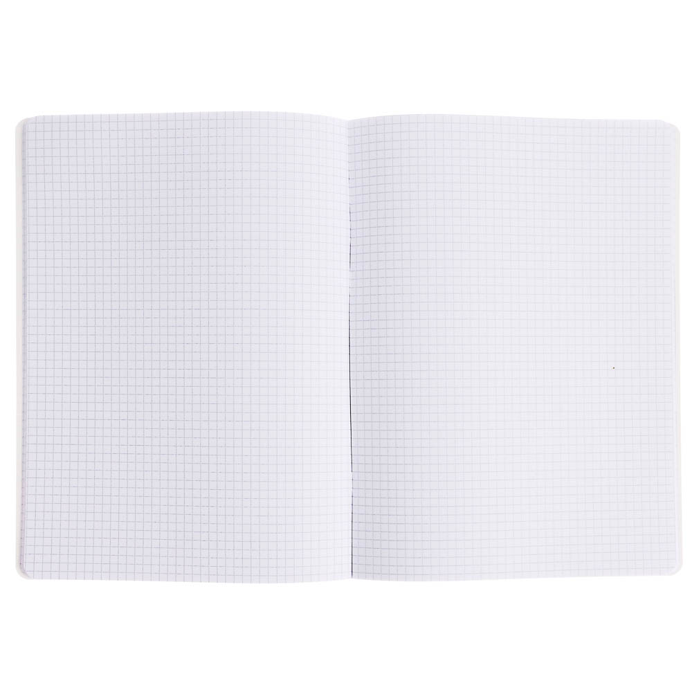 Тетрадь общая BY Русские Супергерои, формат А4, 48л. в клетку, на скобе, скруглен. углы, в ассортим., арт.№ 801-091