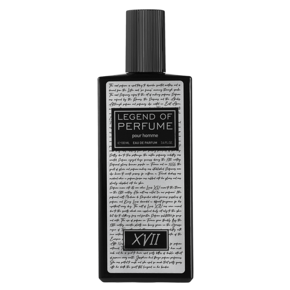 Парфюмерная вода мужская тм BELLERIVE legend of perfume XVII, 100 мл, арт.№ 313-406