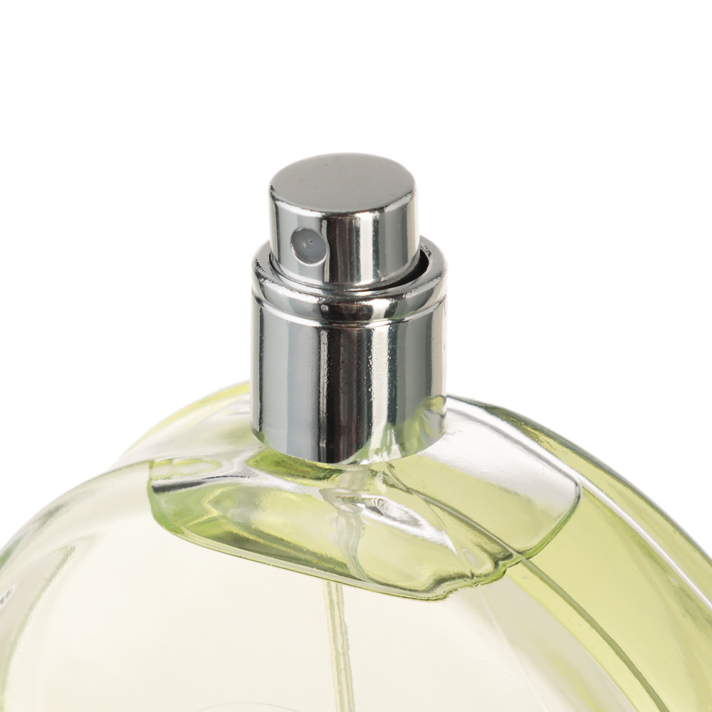 Туалетная вода женская тм Vinci Charme Fortuna, 100 мл., арт.№ 313-323