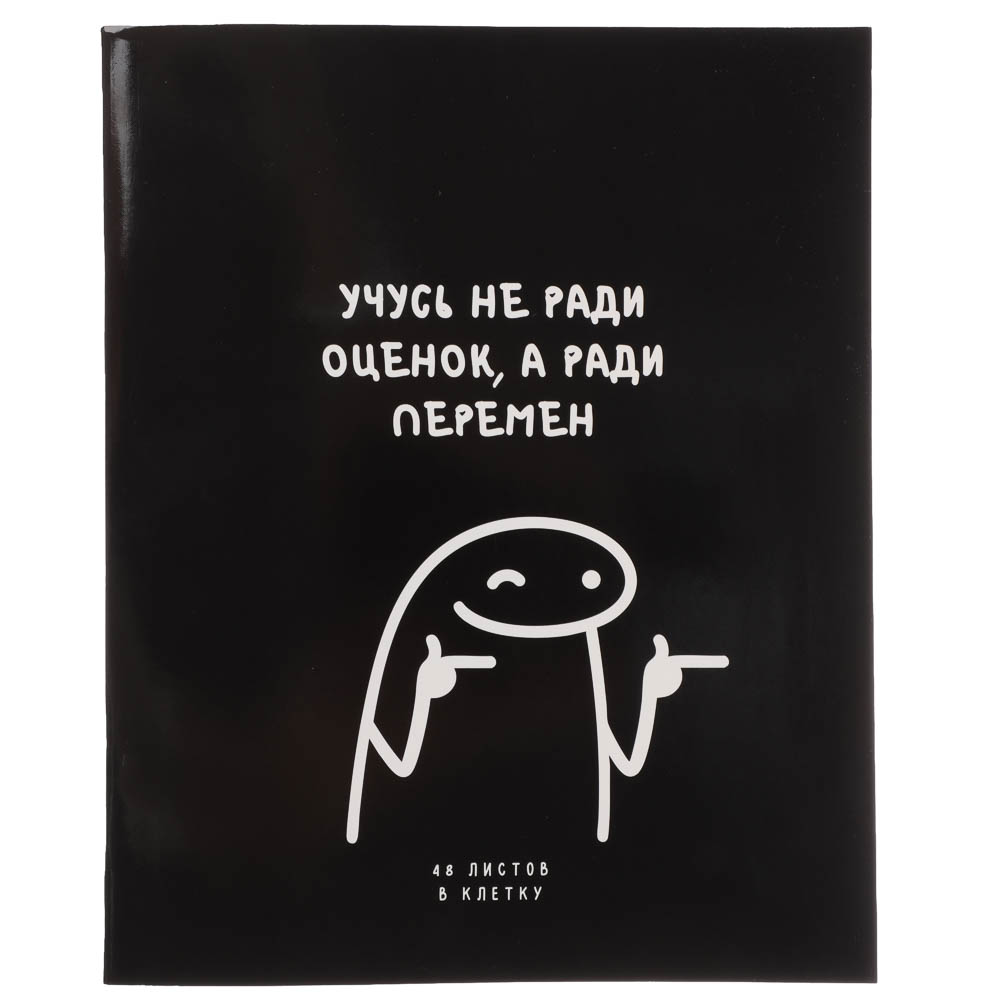 Тетрадь 48л. ClipStudio А5 "Надписи" в клетку, офсет, обл. мел.картон, скрепка, УФ-лак, 4 диз., арт.№ 578-166