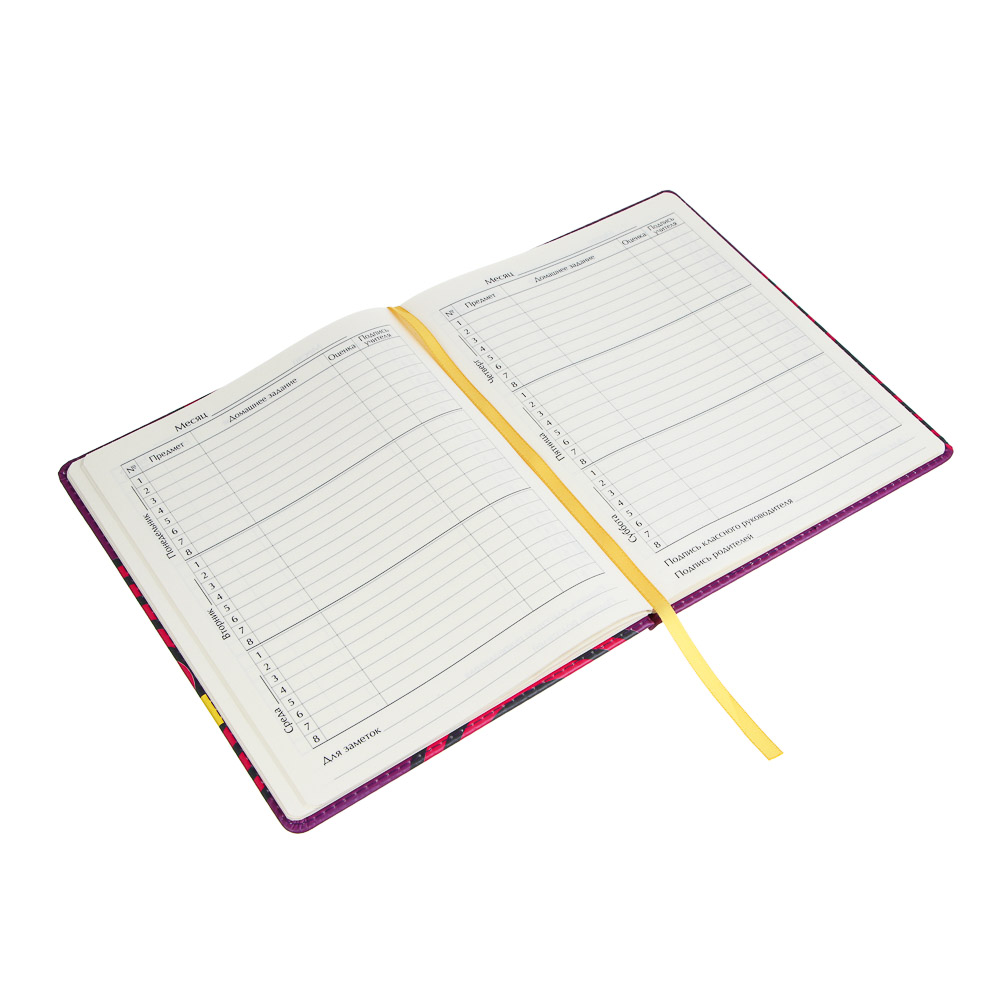 Дневник школьный 48 листов А5+ BY Русские Супергерои, 20,8x16,5 см, тв.обл. с порол., иск.кожа, 2 дизайна, арт.№ 801-069