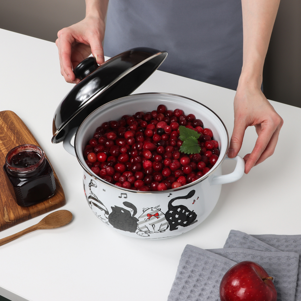 VETTA Хвостатые друзья Кастрюля эмалированная, 24см, 5,0л, индукция, арт.№ 894-543