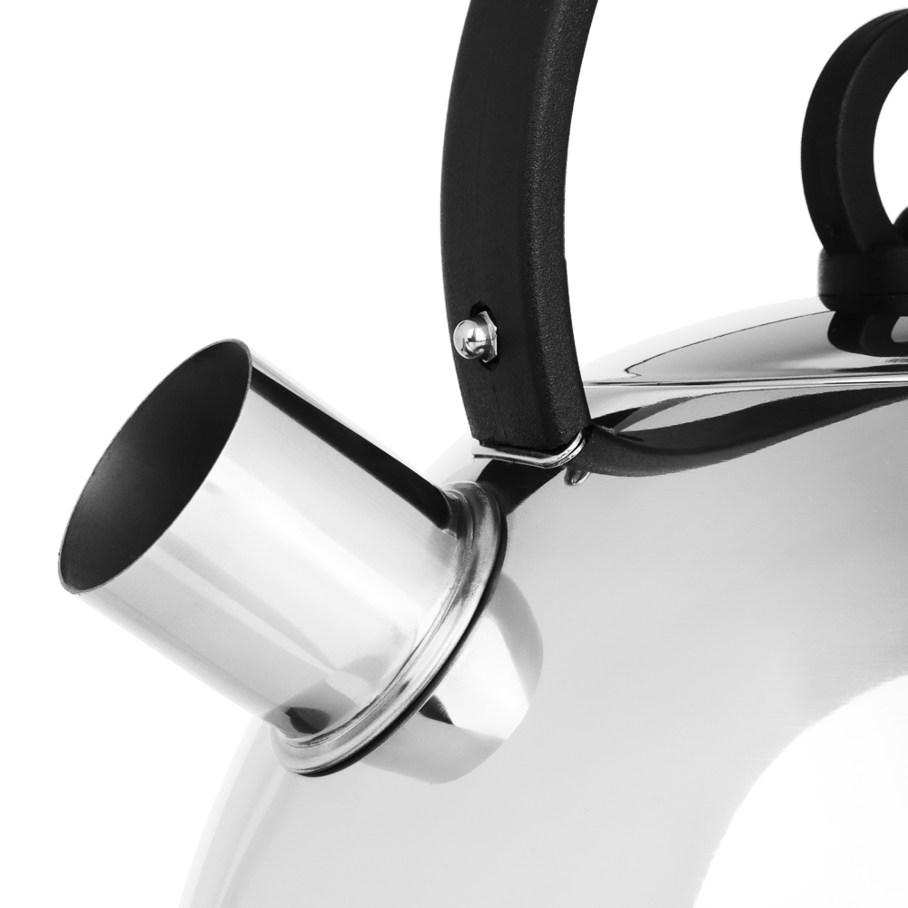 Чайник стальной 2.5л "Кампо" индукция, арт.№ 847-113