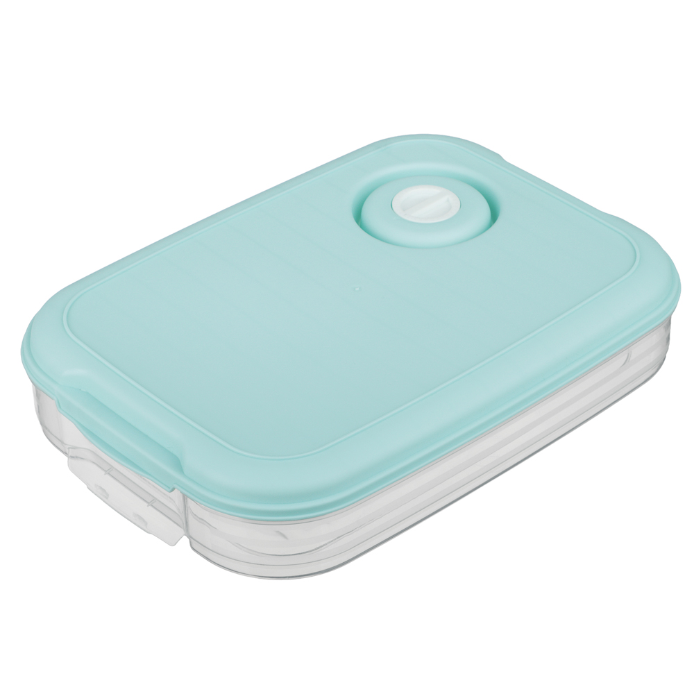 Контейнер для хранения и заморозки продуктов, пластик, 30x21x5,5см, арт.№ 861-529