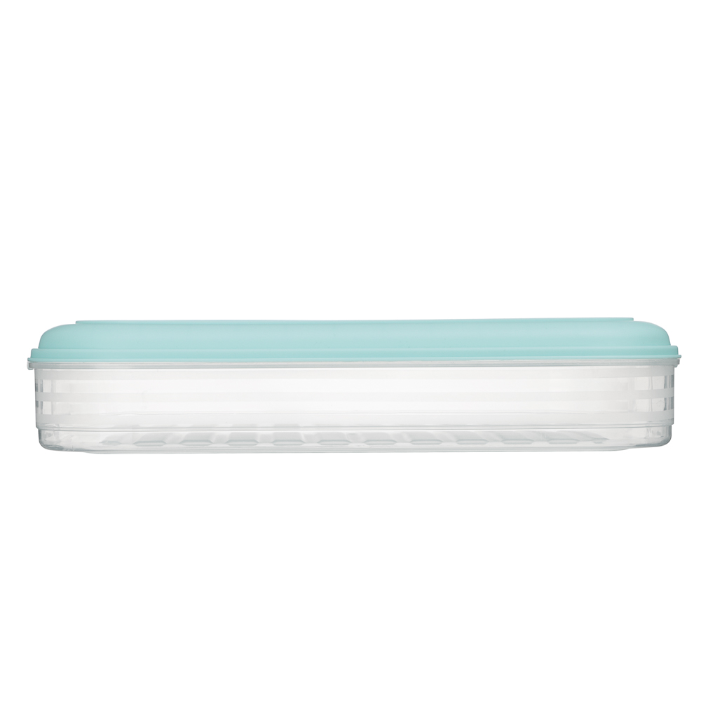 Контейнер для хранения и заморозки продуктов, пластик, 30x21x5,5см, арт.№ 861-529