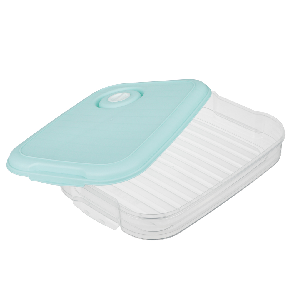 Контейнер для хранения и заморозки продуктов, пластик, 30x21x5,5см, арт.№ 861-529