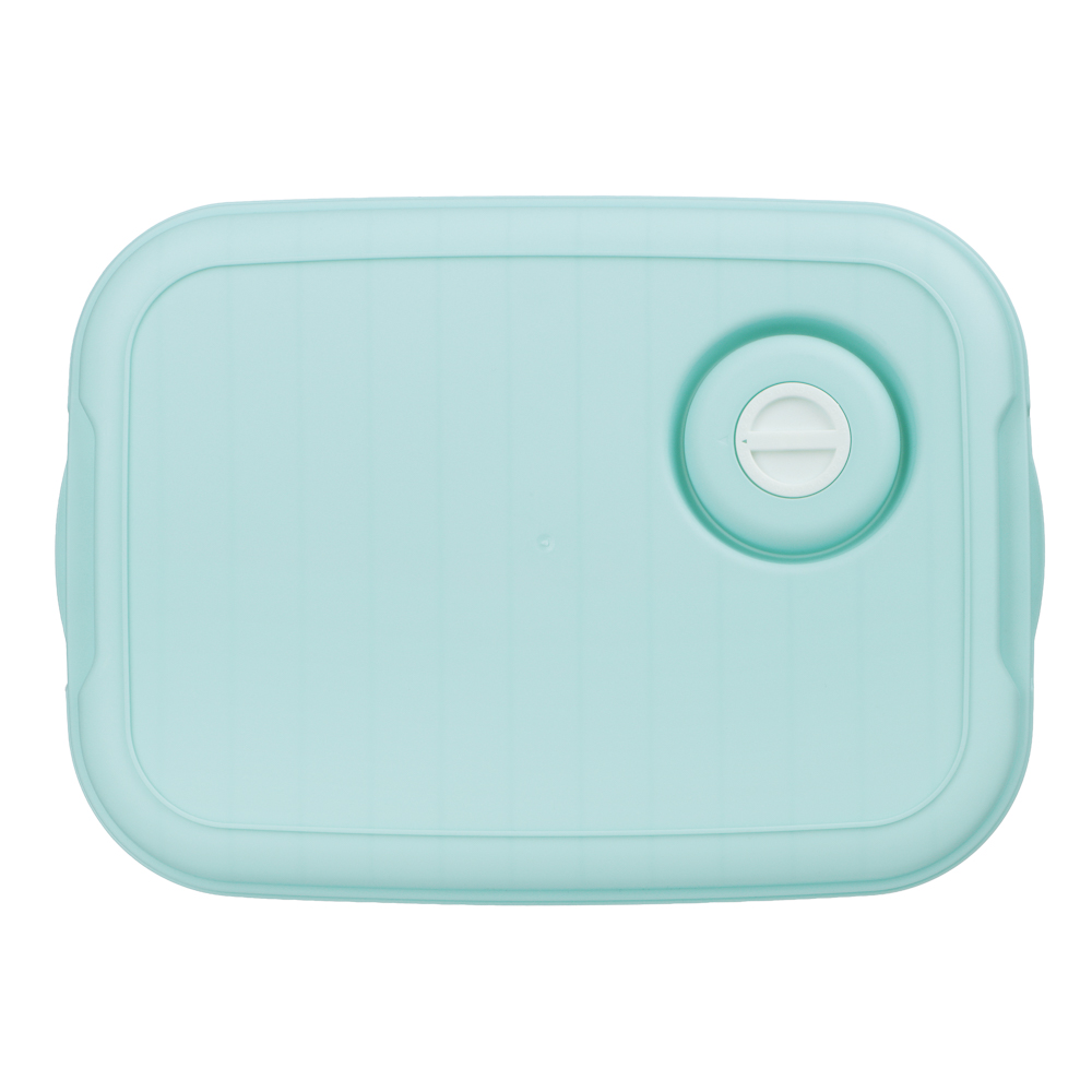 Контейнер для хранения и заморозки продуктов, пластик, 30x21x5,5см, арт.№ 861-529