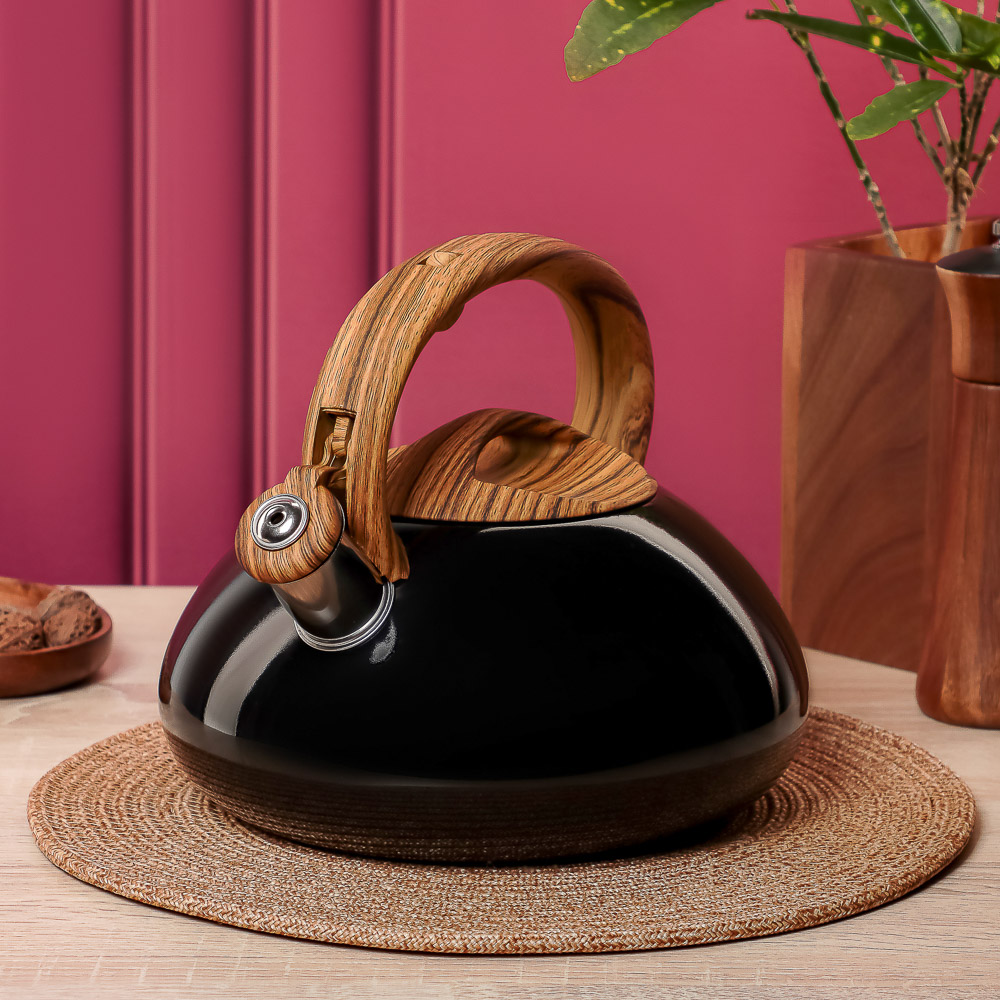 VETTA Чайник стальной 2,8л "Лоренцо", индукция, арт.№ 847-117