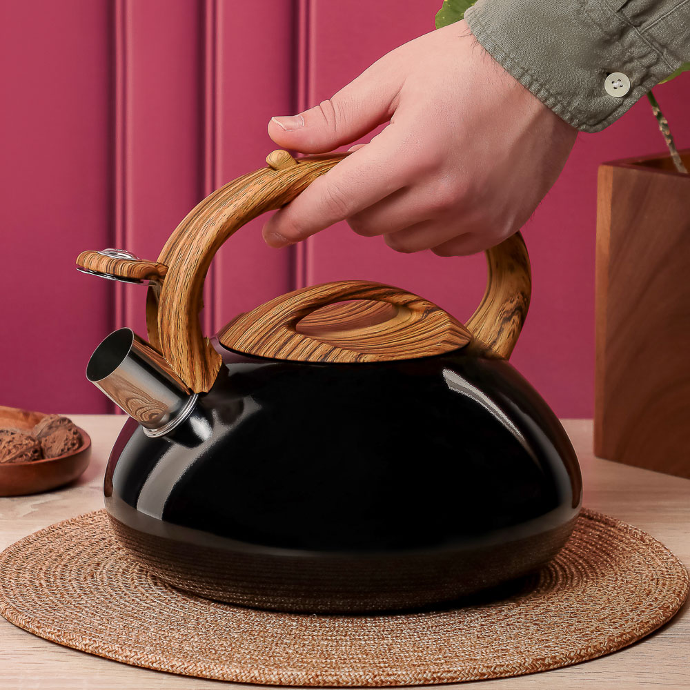 VETTA Чайник стальной 2,8л "Лоренцо", индукция, арт.№ 847-117