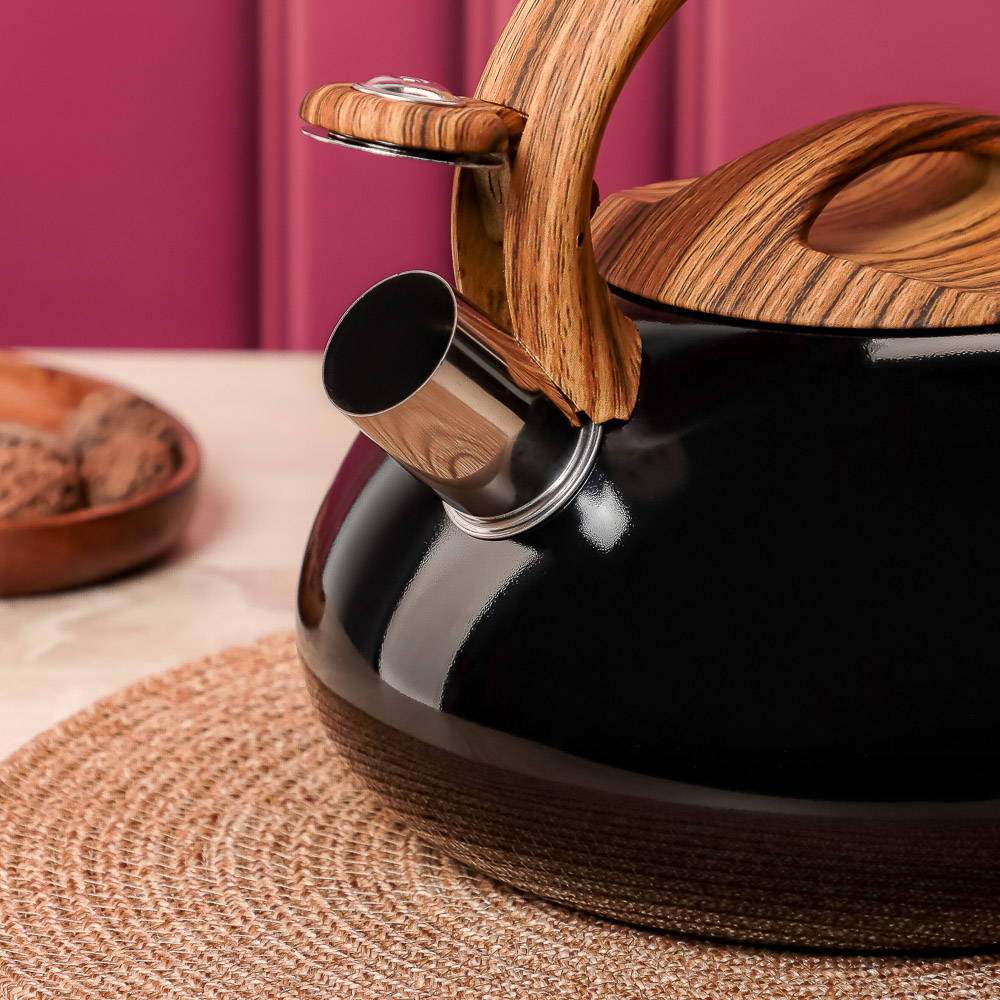 VETTA Чайник стальной 2,8л "Лоренцо", индукция, арт.№ 847-117