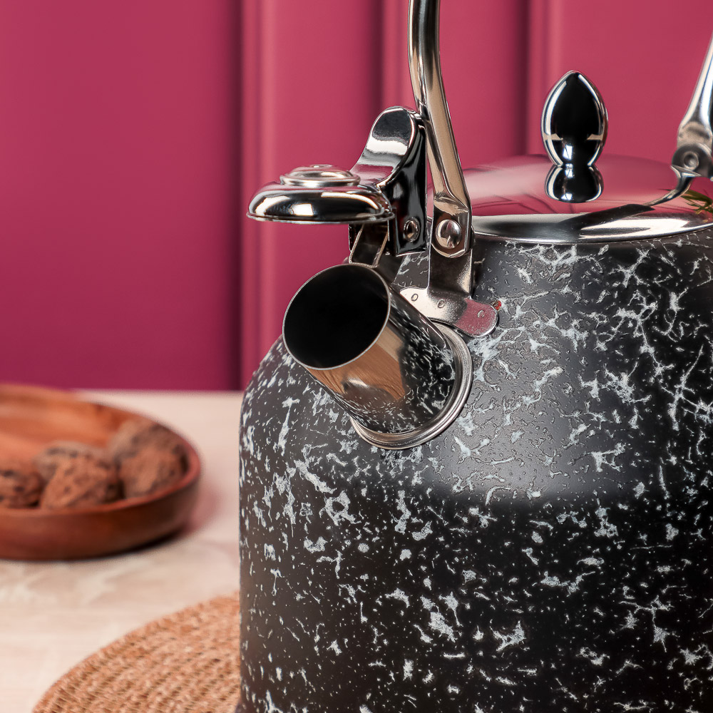 VETTA Чайник стальной 2,7л "Терра", индукция, арт.№ 847-120