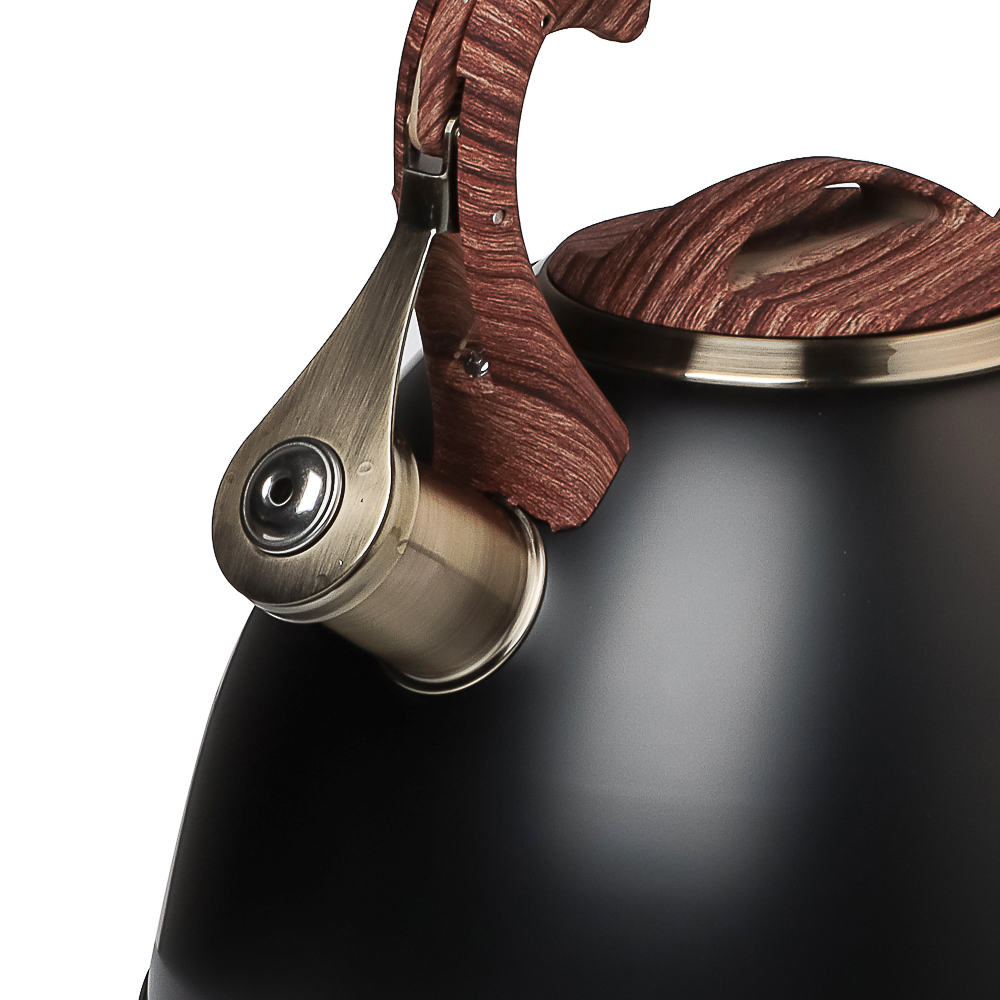 VETTA Чайник стальной 2,8л "Форно", индукция, арт.№ 847-121