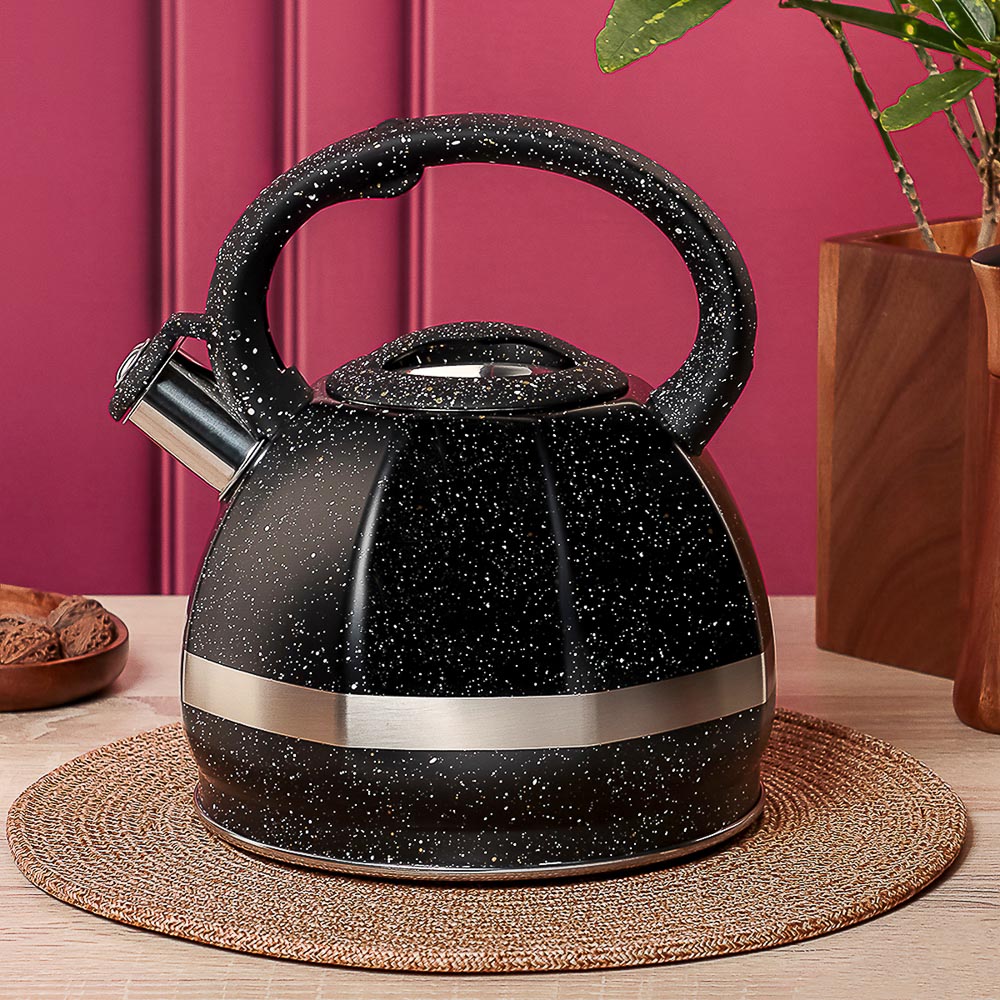 VETTA Чайник стальной 2,9л "Мартино", индукция, арт.№ 847-122