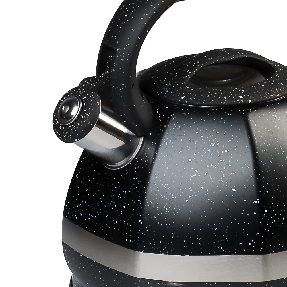 VETTA Чайник стальной 2,9л "Мартино", индукция, арт.№ 847-122