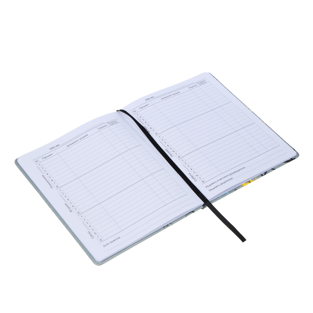 Дневник школьный 48 листов формат А5+ BY "Монстрики на сером", 20,8х16,5 см, твердая обложка искусственная кожа, с цветной печатью, закладка, арт.№ 564-029